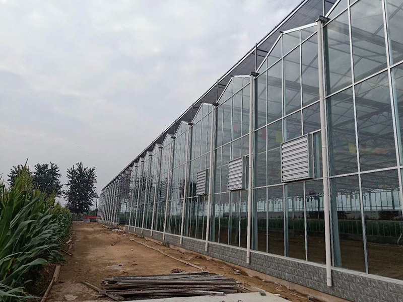 PC陽(yáng)光板溫室大棚解決方案